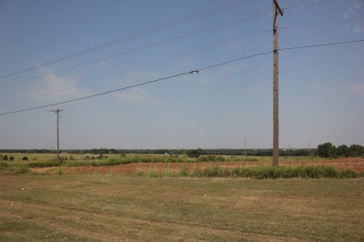 031IMG_6762