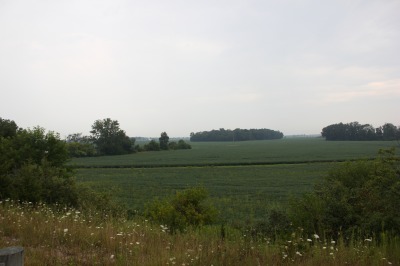 048IMG_5042
