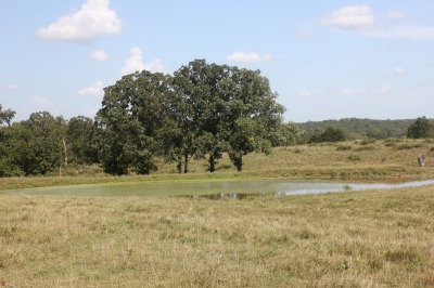 050IMG_5948
