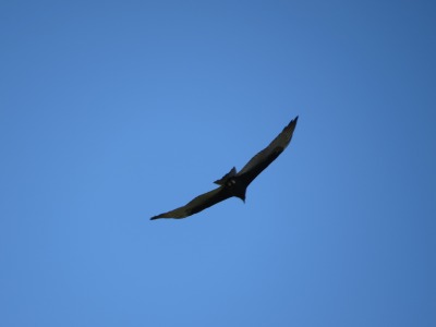 068IMG_4789