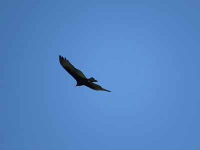 069IMG_4790