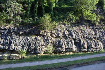 080IMG_5871