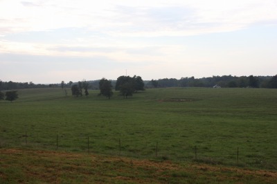 089IMG_6182