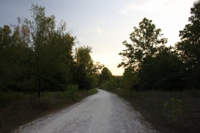 108IMG_5624
