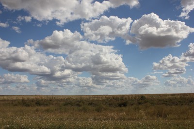 123IMG_7221