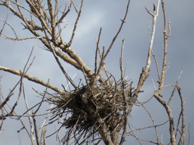 130IMG_5034