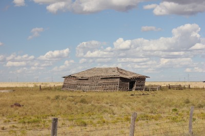 134IMG_7229