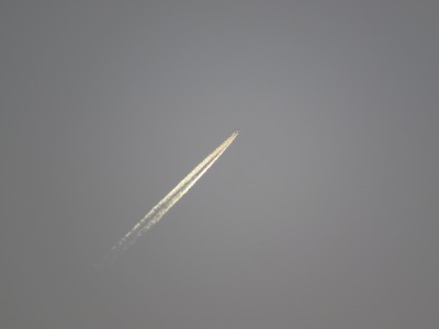 141IMG_5009