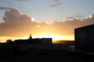 001IMG_8504