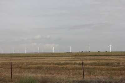 004IMG_7466