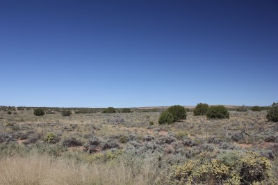 006IMG_8667