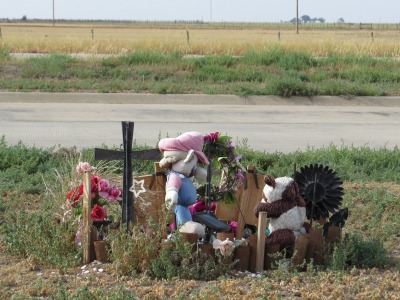 010IMG_5055