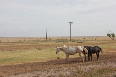 026IMG_7486