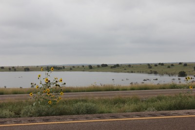 031IMG_7913