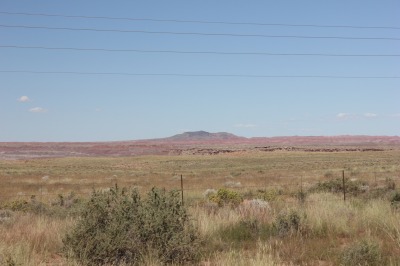 031IMG_8699