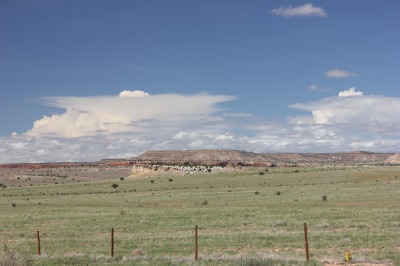 044IMG_8223