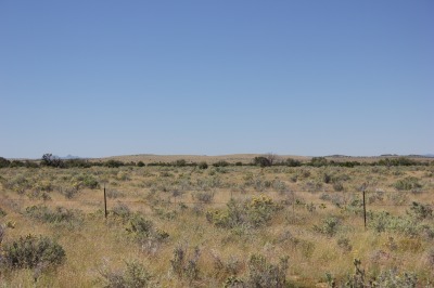 047IMG_9331
