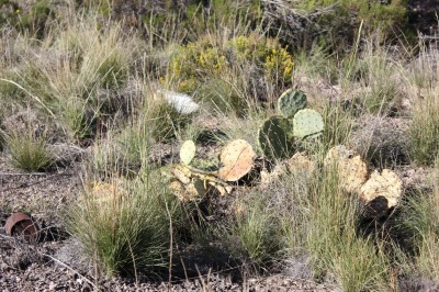 059IMG_9530