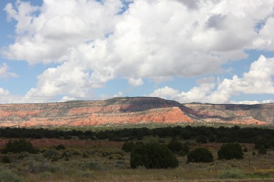 060IMG_8418
