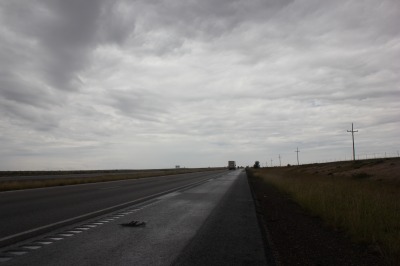 068IMG_7953