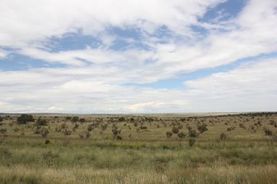 074IMG_7969