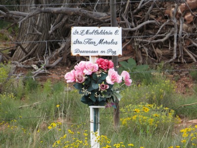 080IMG_5379