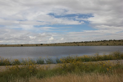 084IMG_7979