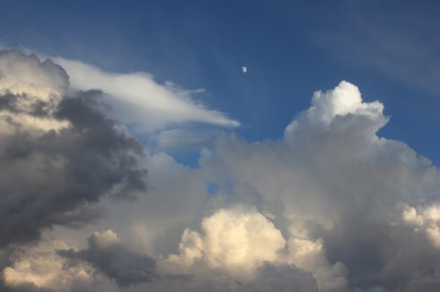 144IMG_8039