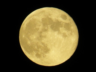 145IMG_5347