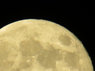 148IMG_5352