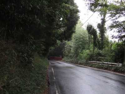 010IMG_5769