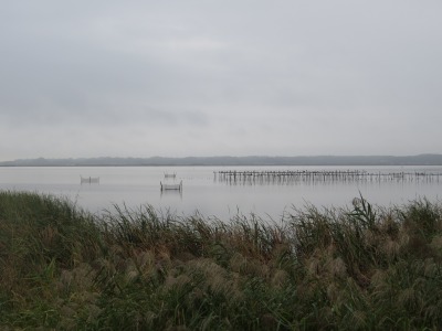 016IMG_5775