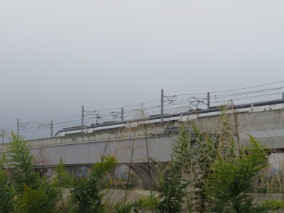 025IMG_5787