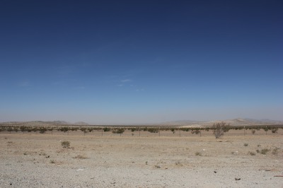 026IMG_0174