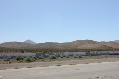 028IMG_0176