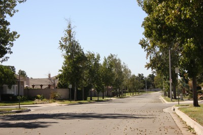 030IMG_0323