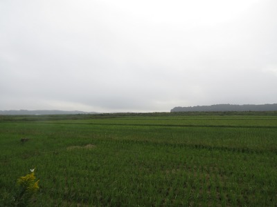 032IMG_5795
