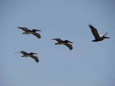040IMG_5733