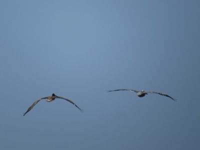 072IMG_5751