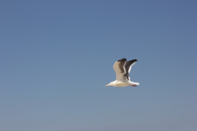 082IMG_0519