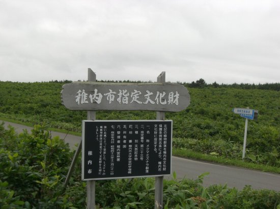 CIMG4157
