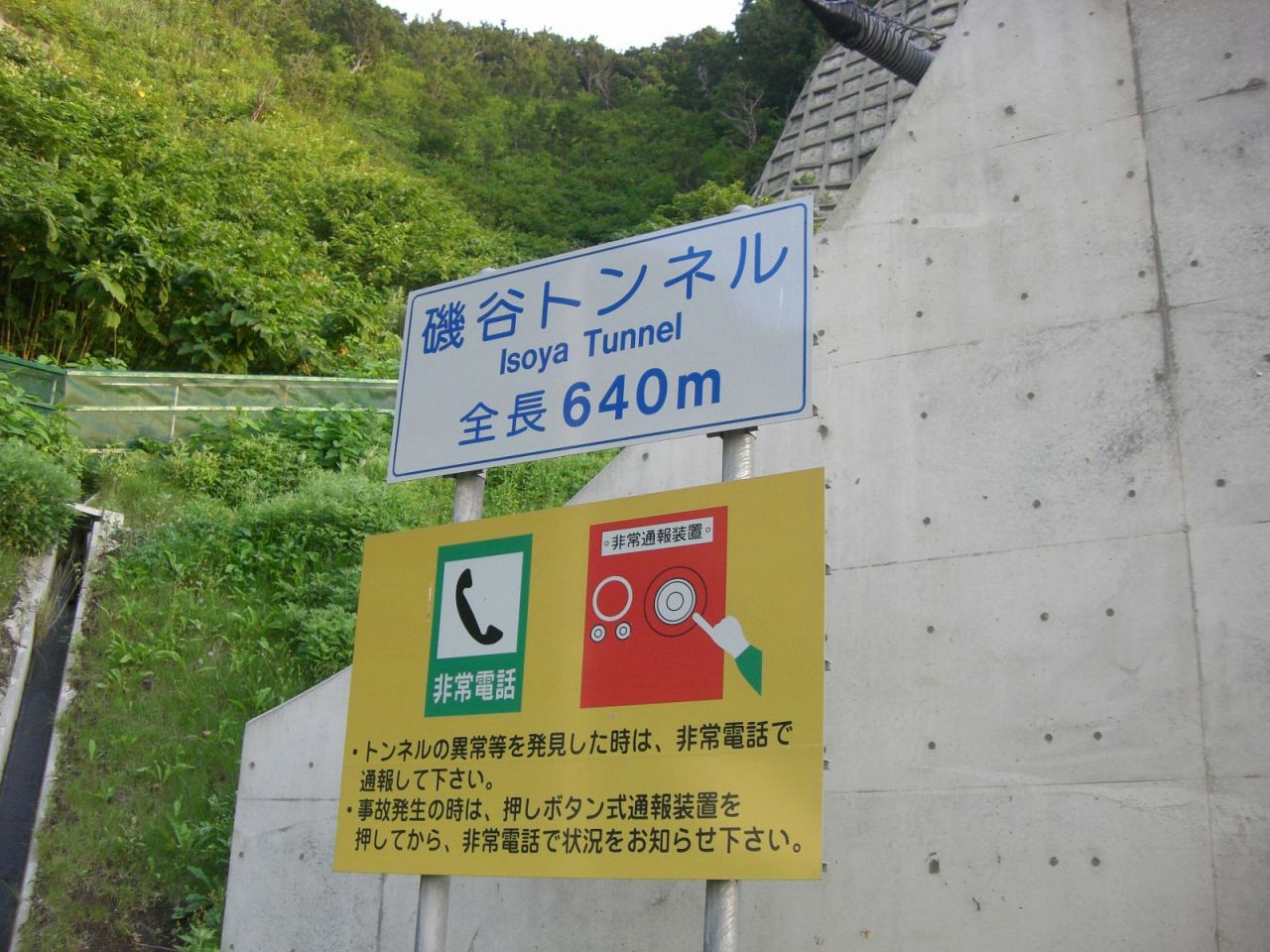 CIMG4511
