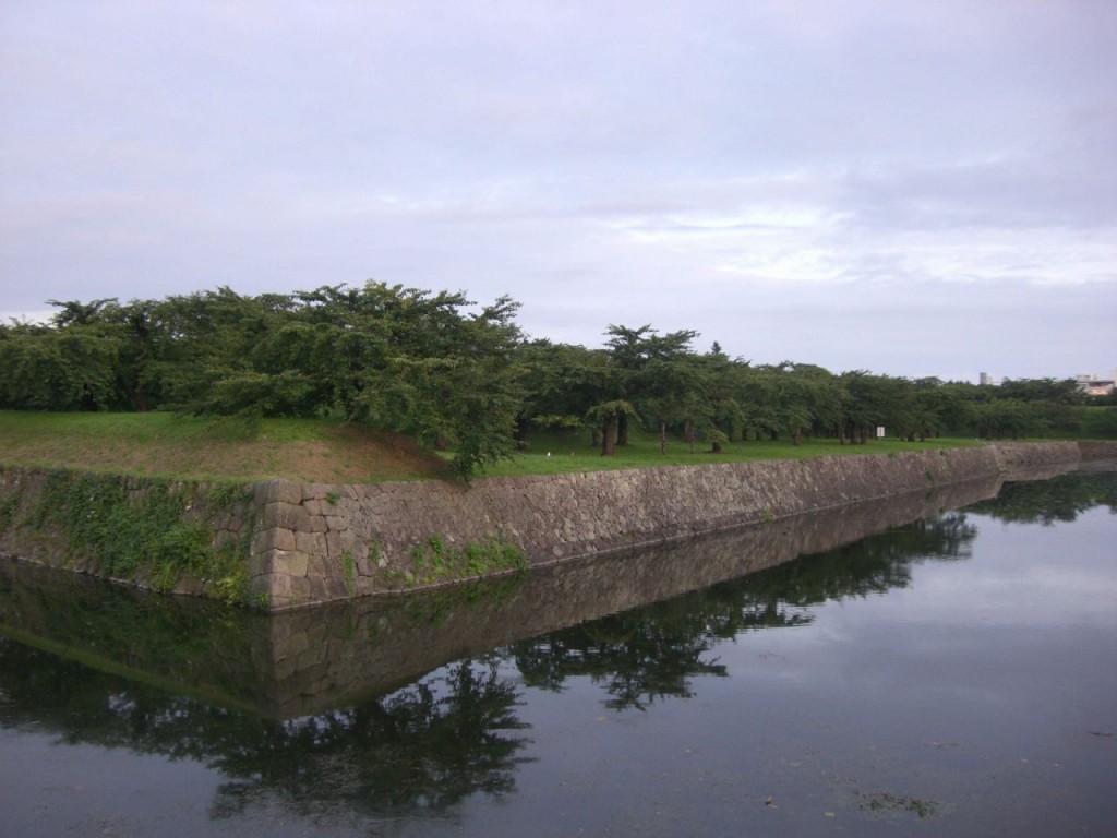 CIMG4537