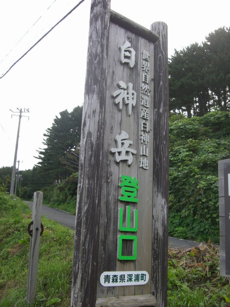 CIMG4572