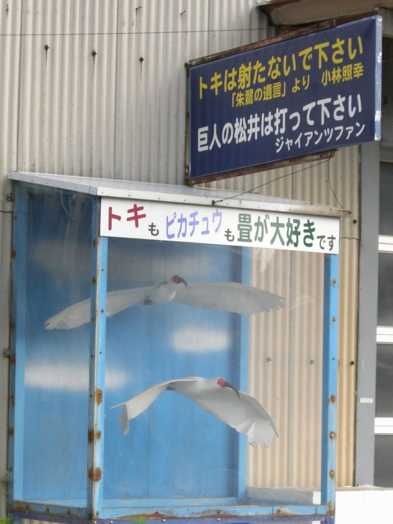 CIMG4600