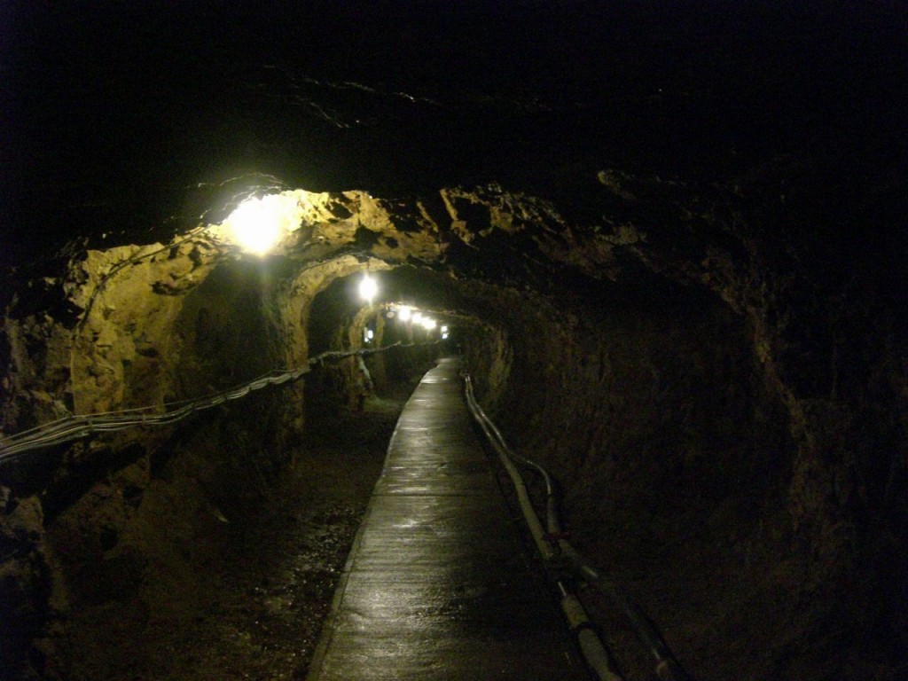 CIMG4666