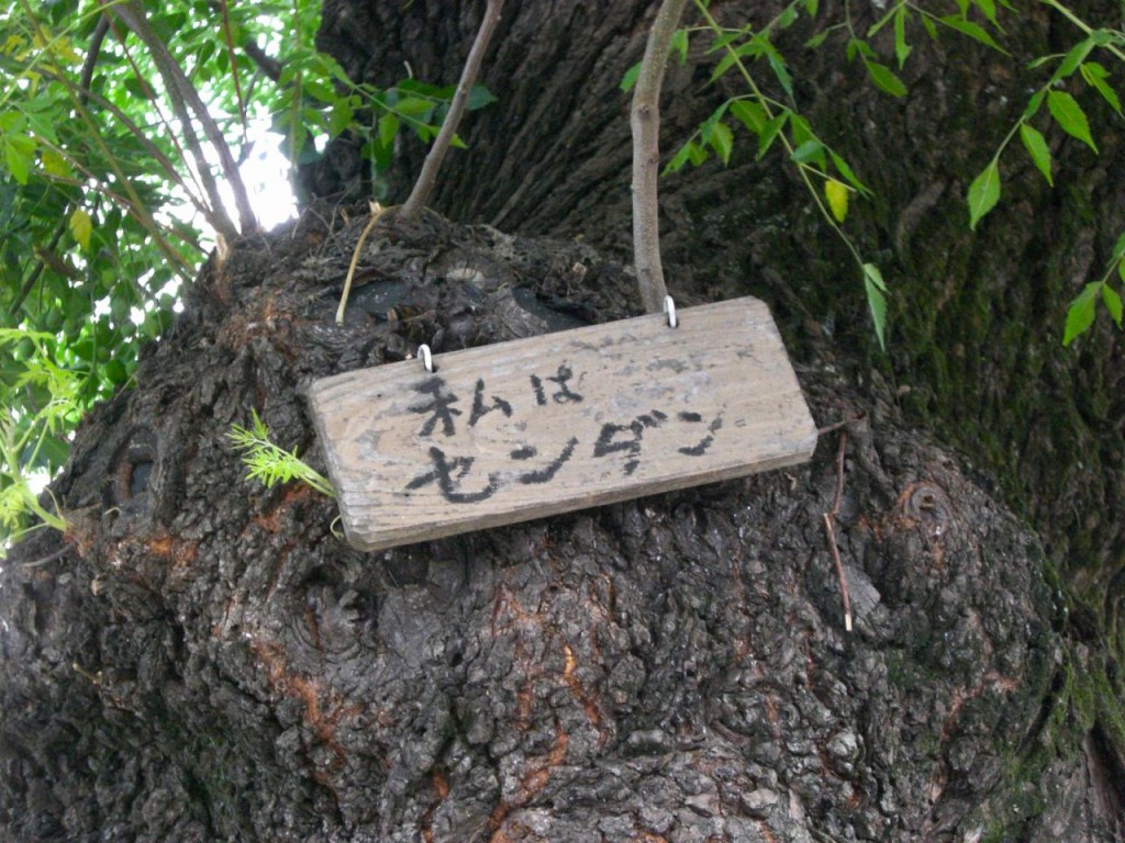 CIMG4805