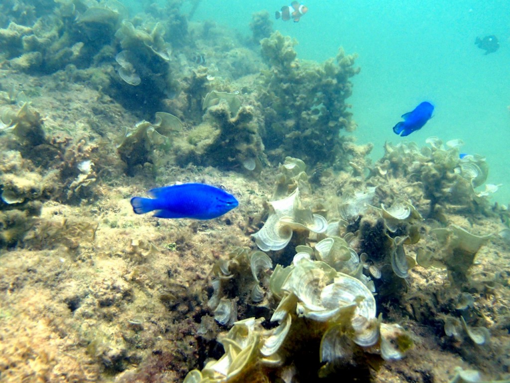P8073170