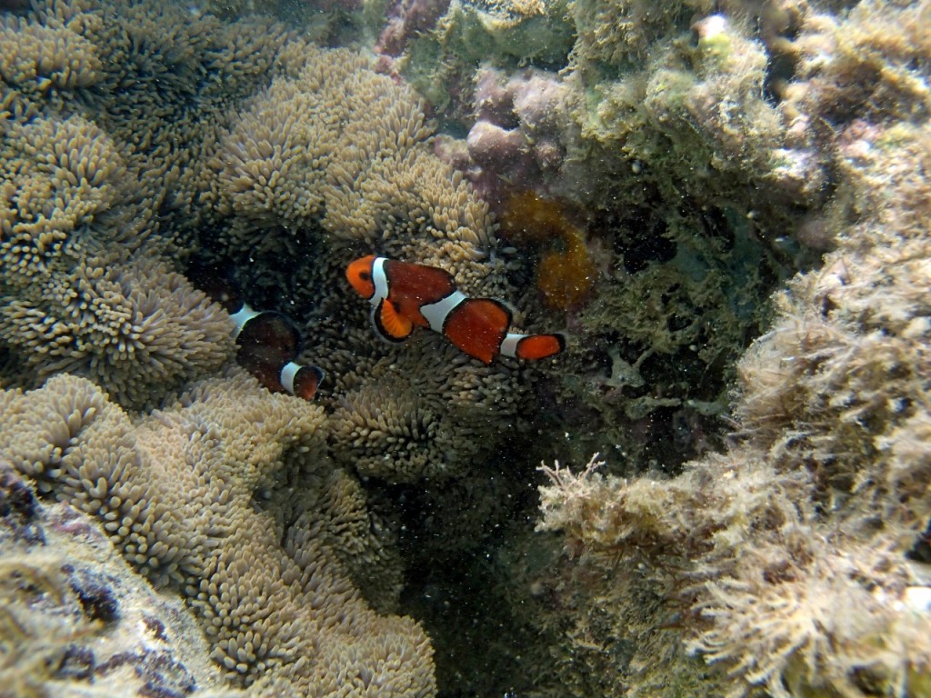 P8073257